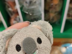 -剧狐剧本杀·月球探案馆(人民广场1号店)