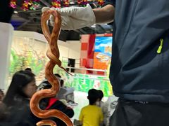 -上海大自然野生昆虫馆(东方明珠·爬宠昆虫探索中心)