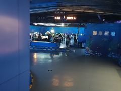 -重庆欢乐海底世界