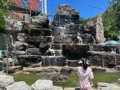 -大岭沟猕猴桃谷风景区