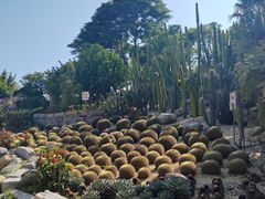 -胡里山炮台
