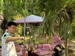 -灵玲国际马戏城