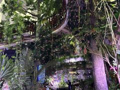 -正佳雨林生态植物园