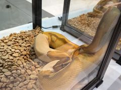 -上海跨国采购会展中心