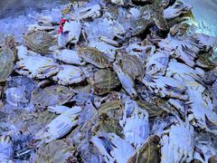 -聚盛源蒸汽海鲜火锅烤肉自助(巨川金海岸购物广场店)