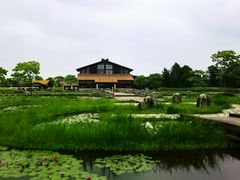 -宁波杭州湾国家湿地公园