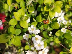 -白塘生态植物园