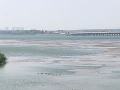 -丁香湖公园