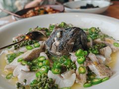 -CHIC1699远洋私厨