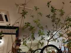 -良木缘咖啡西餐(优品道广场店)