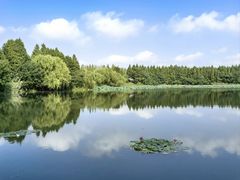 -溱湖国家湿地公园