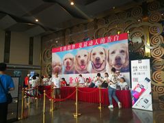 -天幕新彩云国际影城(激光巨幕店)