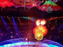 -拉斯维加斯永利酒店