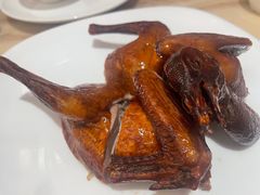 红烧乳鸽-锦粤宫·精致粤菜(深圳北站店)
