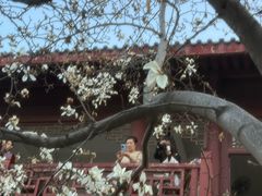 -堤角公园