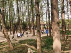 -渡海小渔村.老辈日照菜