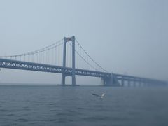 -星海湾跨海大桥