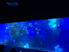 -江和美海洋公园