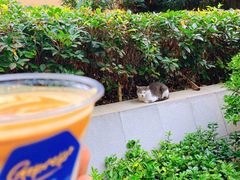 -吉派索自家烘焙咖啡馆(千佛山店)