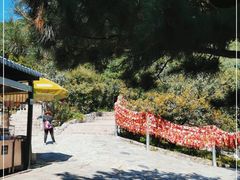 -香山公园