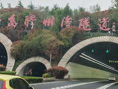 -胶州湾海底隧道