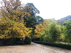 -青岛崂山太清宫