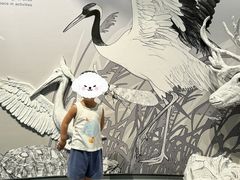 -中国湿地博物馆