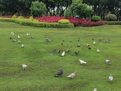 -白鹭洲公园