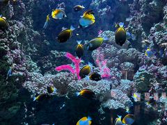 -海合安青岛极地海洋公园