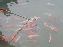 -三亚千古情景区游客中心-接待中心