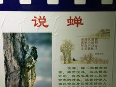 -上海昆虫博物馆