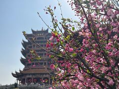 -黄鹤楼公园(黄鹤楼)