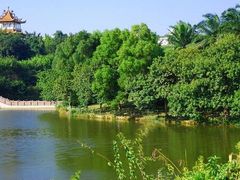 -深圳龙潭公园