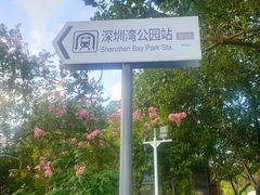 -深圳湾公园(南山区)