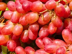 -浦江城市生活广场(江月路店)