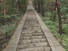 -腊山国家森林公园