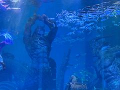 -波塞冬旅游度假区