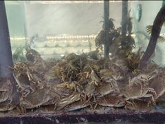 -桐庐土菜馆·传承经典土菜