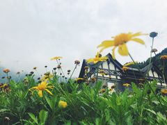 -太阳湾风景区