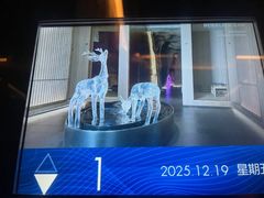 -碧涛阁·泡泡海洋·汤泉洗浴(王府花园店)