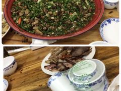 -东吴霸王兔(松青路店)