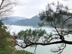 -羚羊峡古栈道森林公园