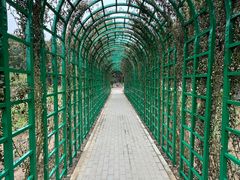 -大兴滨河森林公园