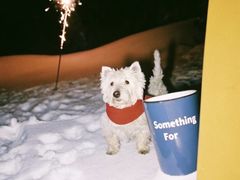 -Something For(鹏润达店)