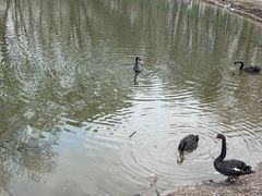 -长白岛森林公园