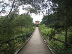 -铁山坪森林公园