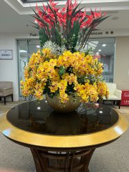 -北京明德医院·医疗美容