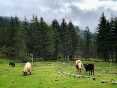 -硗碛藏寨·神木垒景区