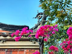 -晋江五店市传统文化旅游区