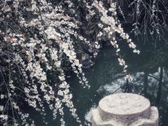 -北寺塔